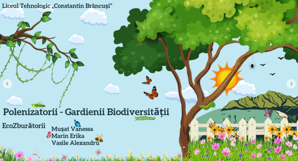 concursul BeeSmart